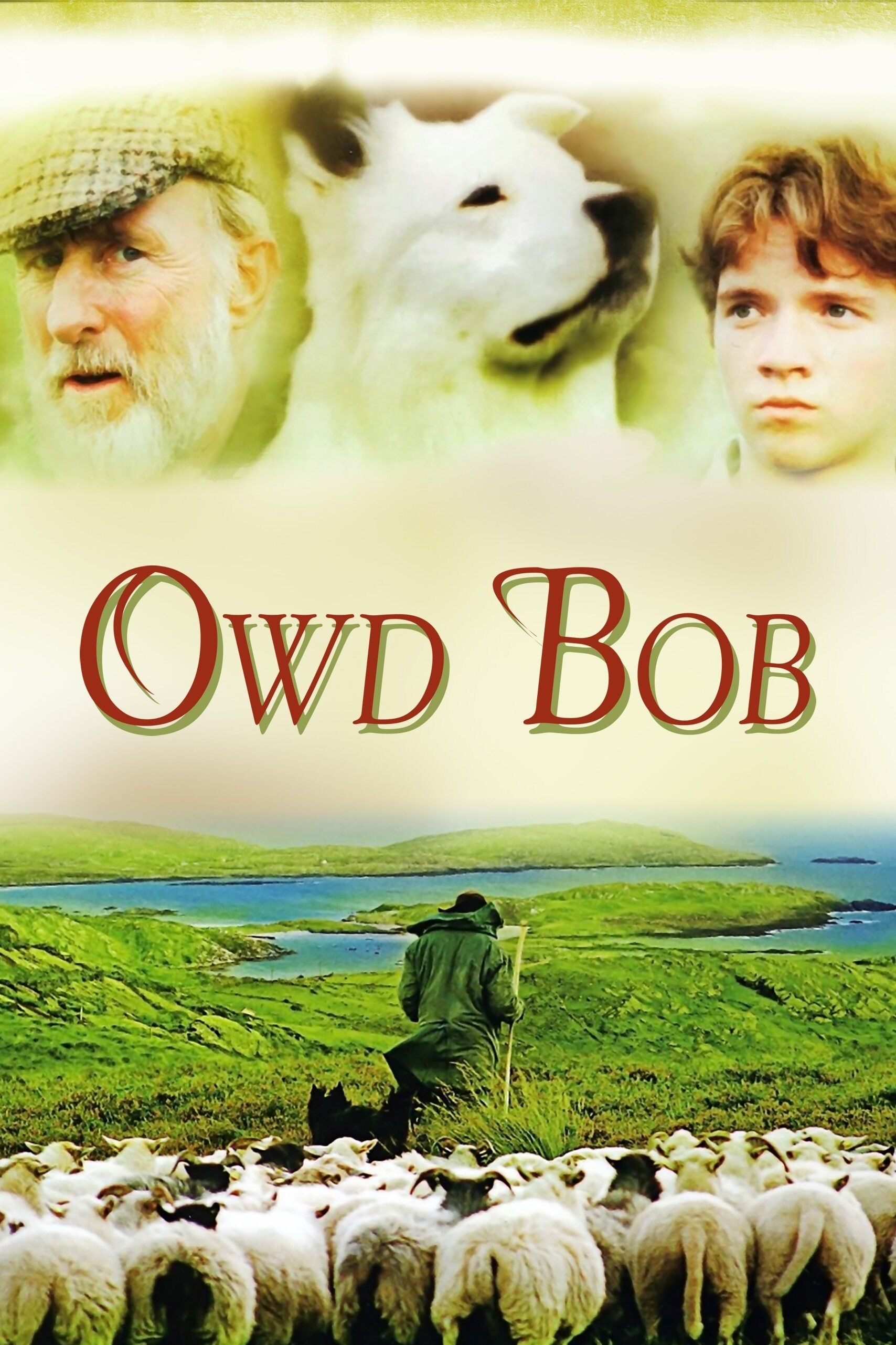 Постер Owd Bob